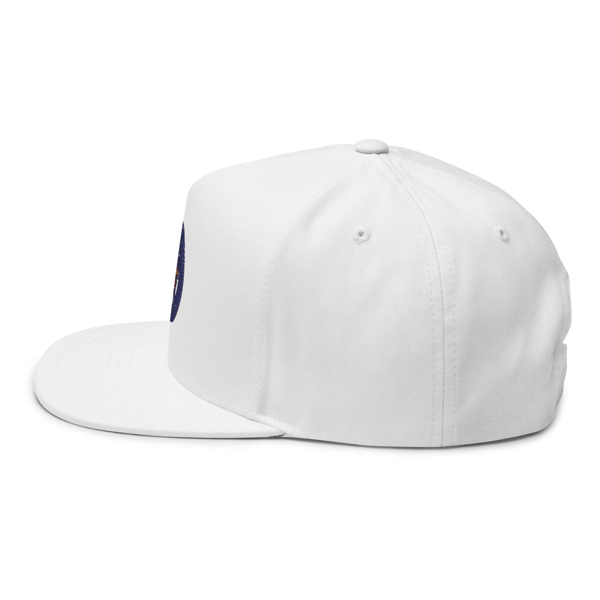 Embroidered Family Tyes Flat Bill Cap